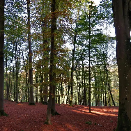 Maison D'engon Charme Nature Beauraing