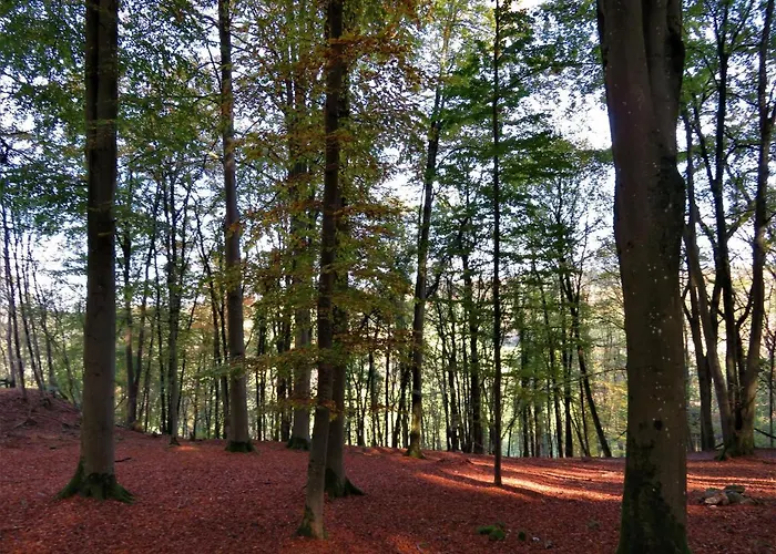 Maison D'engon Charme Nature Beauraing