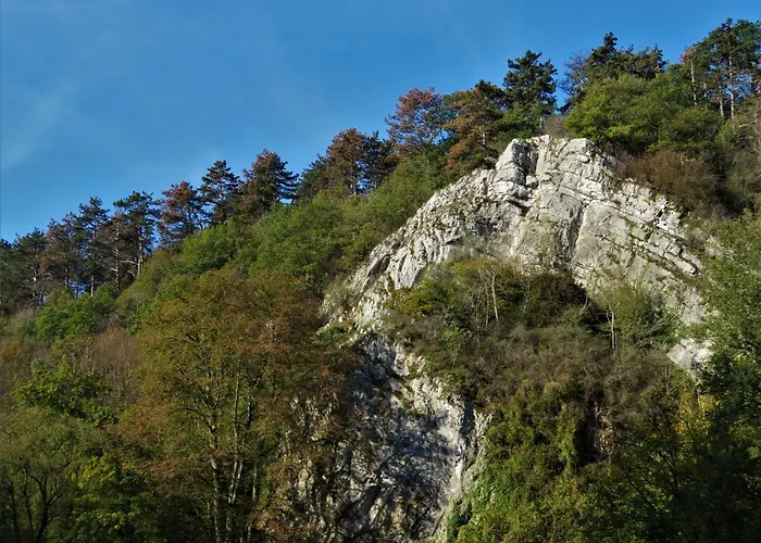 Hébergement de vacances Maison D'engon Charme Nature *